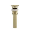 Kibi Pop Up Drain Stopper for Bathroom with Overflow KPW100BG